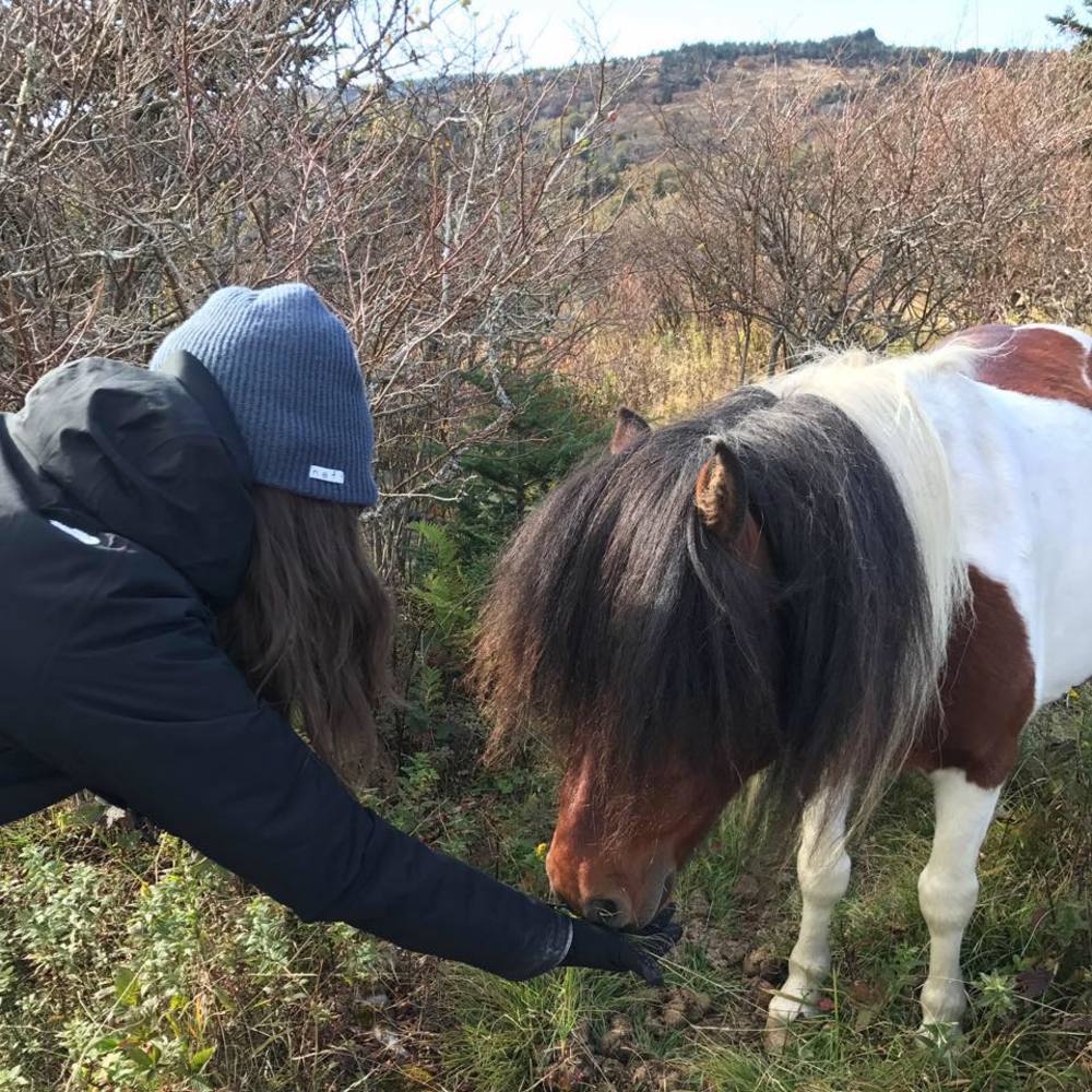 Meet your Posher, Chelsea